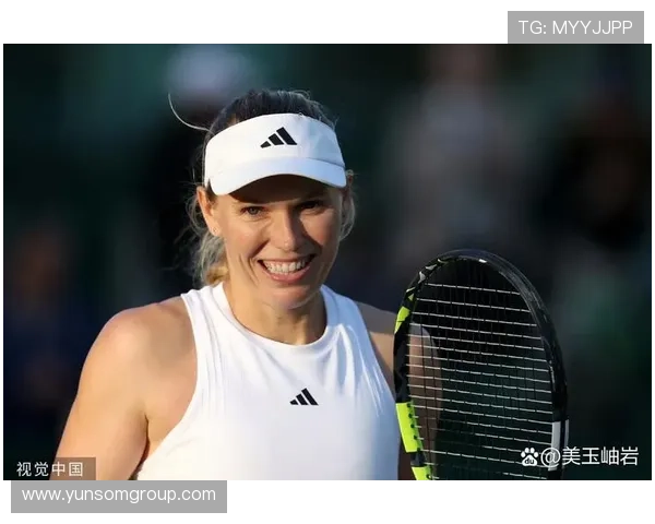 世界网球联赛WTL历届冠军回顾及赛事发展历程分析 世界网球联赛WTL历届冠军回顾及赛事发展历程分析